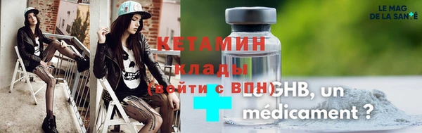индика Ельня