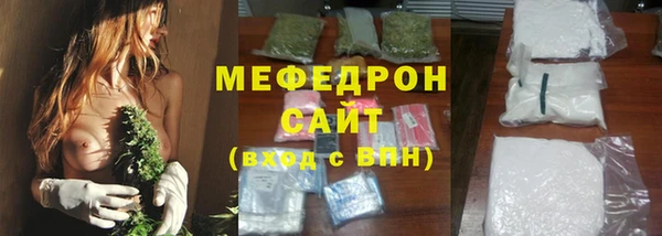 индика Ельня