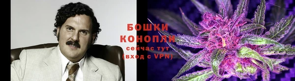 амфетамин Елизово