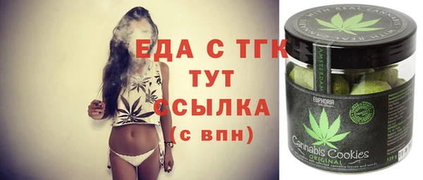 индика Ельня