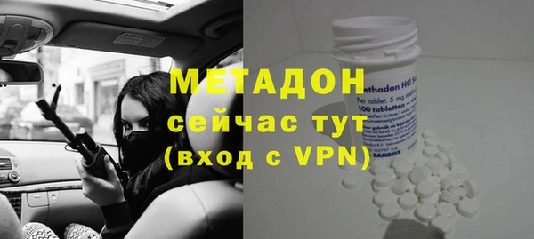 индика Ельня