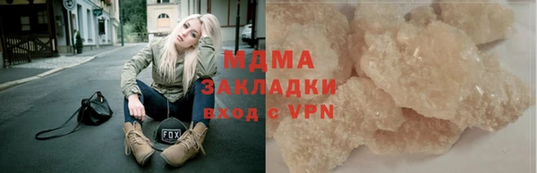 индика Ельня