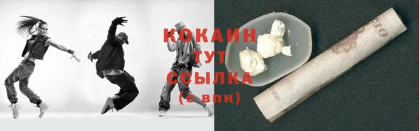 индика Ельня