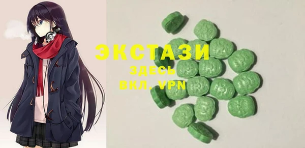 индика Ельня