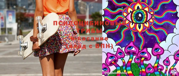 индика Ельня