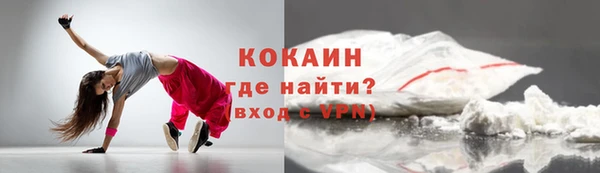 индика Ельня