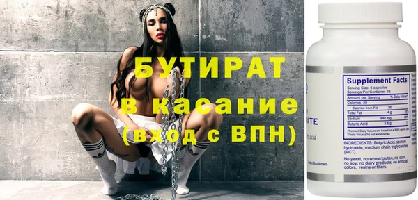 индика Ельня