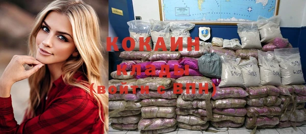 индика Ельня