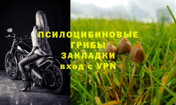 мяу мяу мука Елабуга