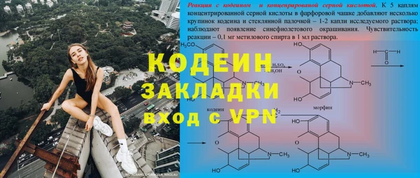 индика Ельня