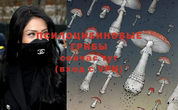 мяу мяу мука Елабуга