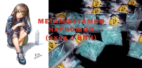 индика Ельня