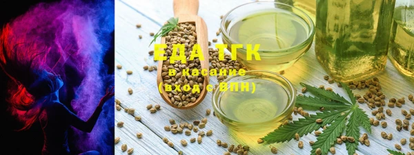 индика Ельня