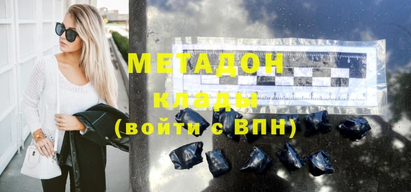 индика Ельня