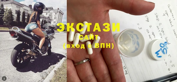 индика Ельня