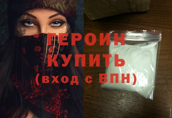 индика Ельня