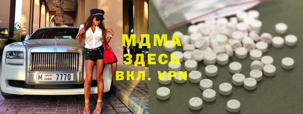 индика Ельня