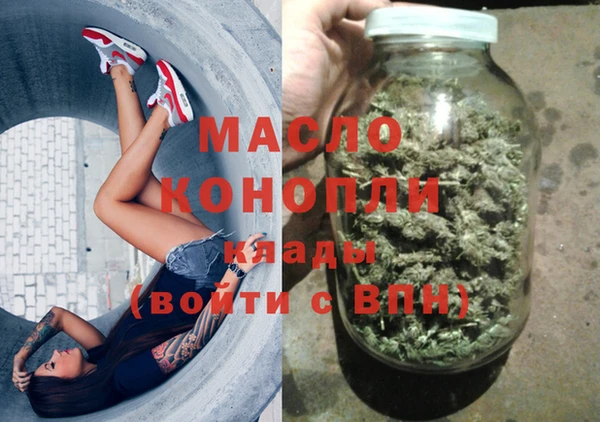 индика Ельня
