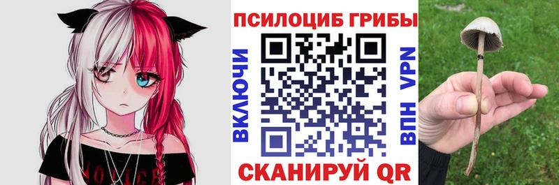Купить закладки  Киржач  Галлюциногенные грибы MAGIC MUSHROOMS 